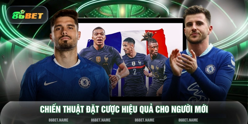 Chiến thuật đặt cược hiệu quả cho người mới