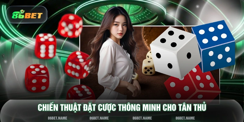Chiến thuật đặt cược thông minh cho tân thủ