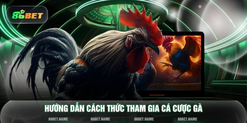 Hướng dẫn cách thức tham gia cá cược gà
