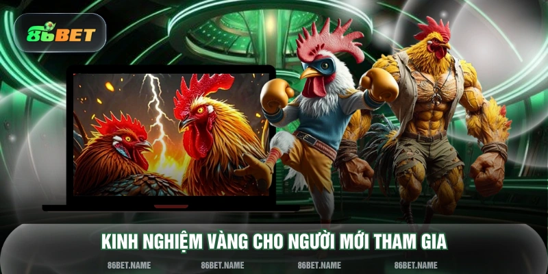 Kinh nghiệm vàng cho người mới tham gia