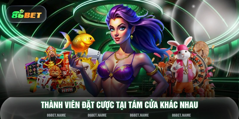Thành viên đặt cược tại tám cửa khác nhau