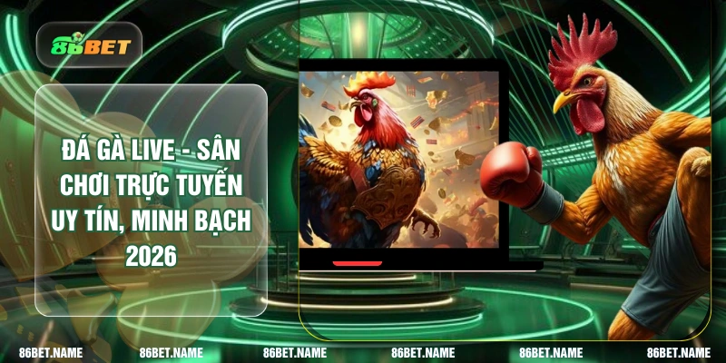 Đá Gà Live - Sân Chơi Trực Tuyến Uy Tín, Minh Bạch 2026